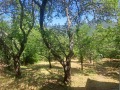 Продава КЪЩА, област София, гр. Своге • 41000 € / 80189.03 лв. • 25737944 11