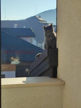 ������� 2-����� | Imot.bg � ����� ������ 9