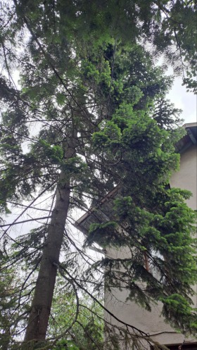 ������� ���� | Imot.bg � ����� ������ 6