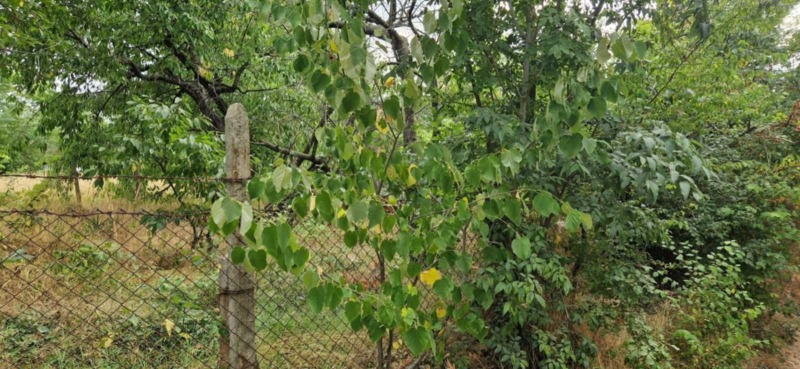 For Sale  Plot Varna , m-t Borovets - sever , 1400 sq.m | 83565457 - image [2]