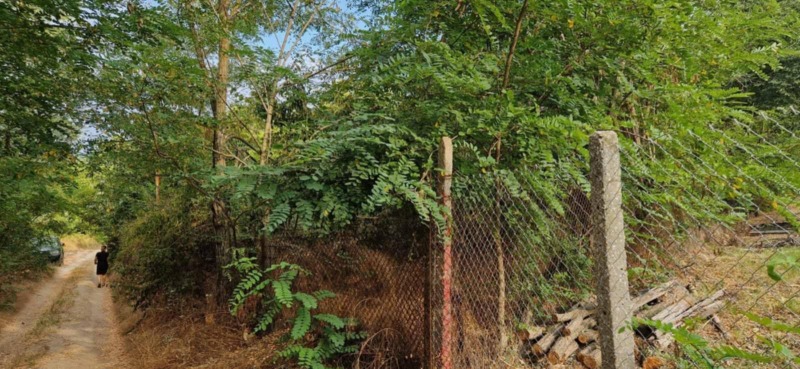 For Sale  Plot Varna , m-t Borovets - sever , 1400 sq.m | 83565457 - image [3]