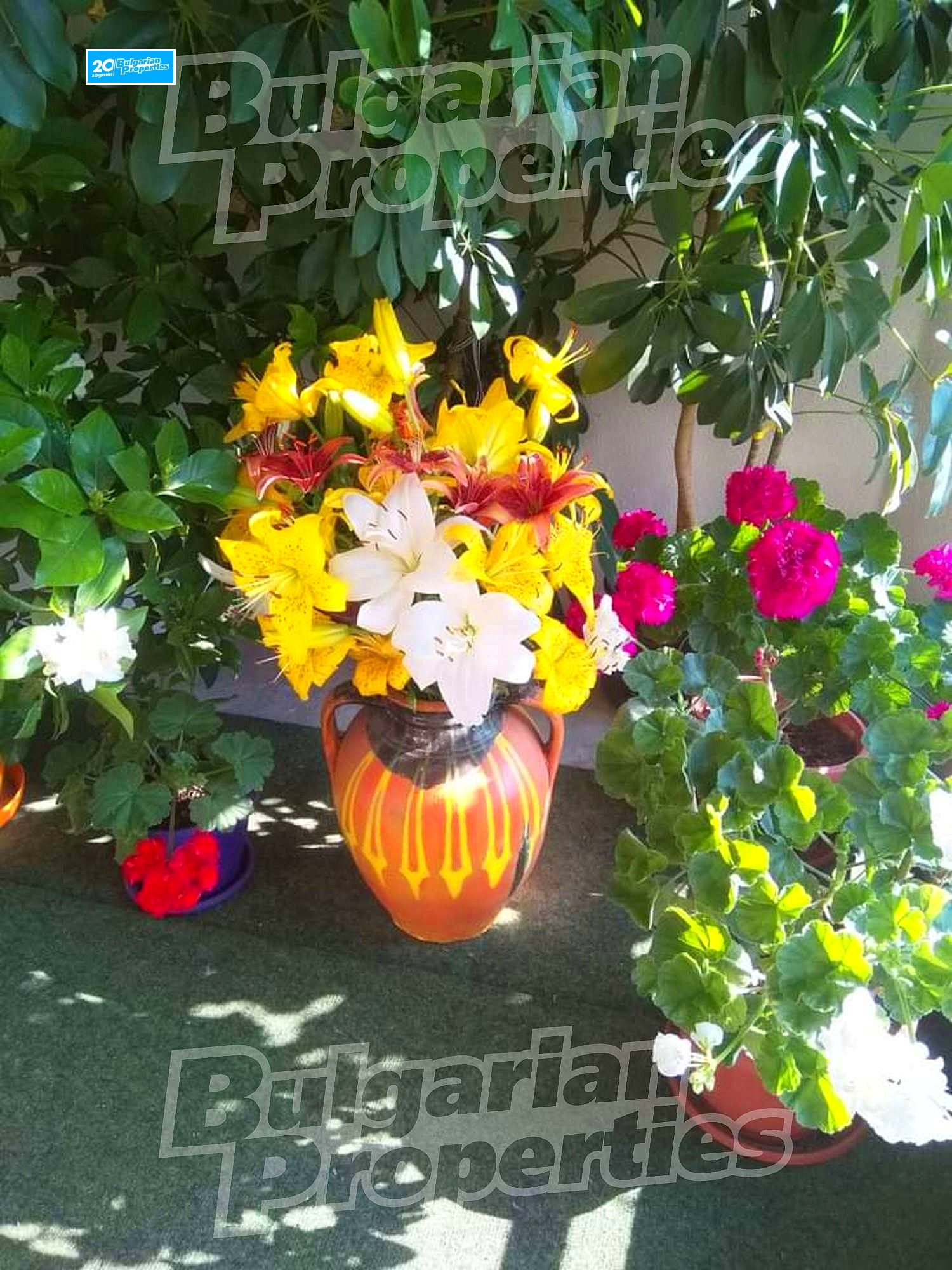 Продава КЪЩА, с. Крупник, област Благоевград, снимка 10 - Къщи - 45653010