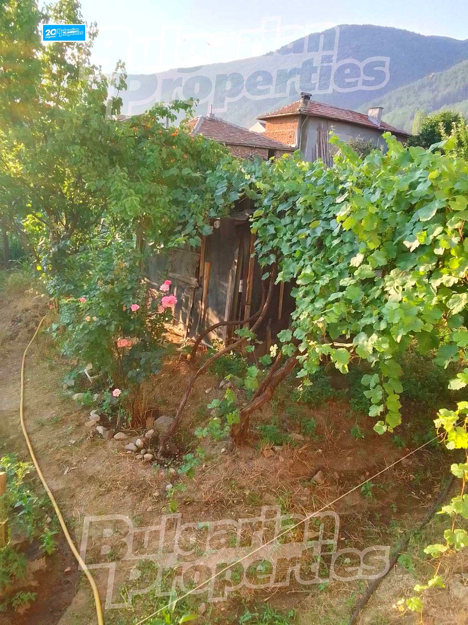 Продава КЪЩА, с. Крупник, област Благоевград, снимка 13 - Къщи - 45653010