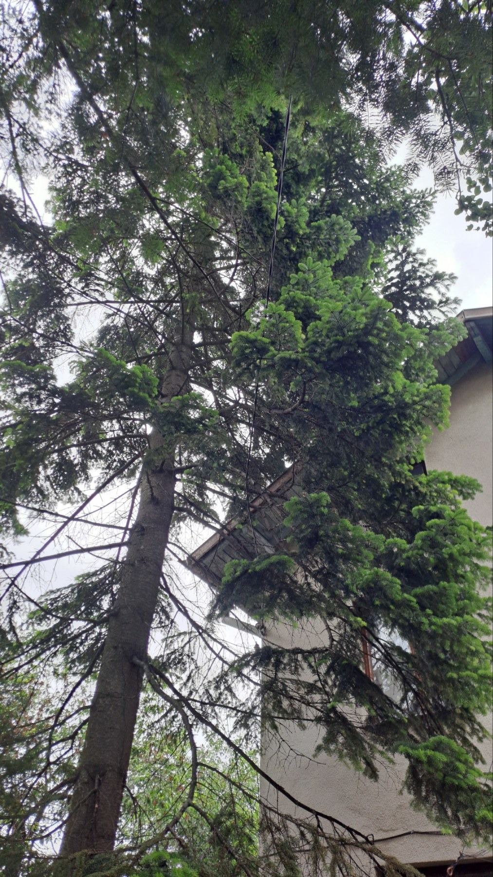 Продава КЪЩА, гр. София, в.з.Малинова долина, снимка 6 - Къщи - 54690644