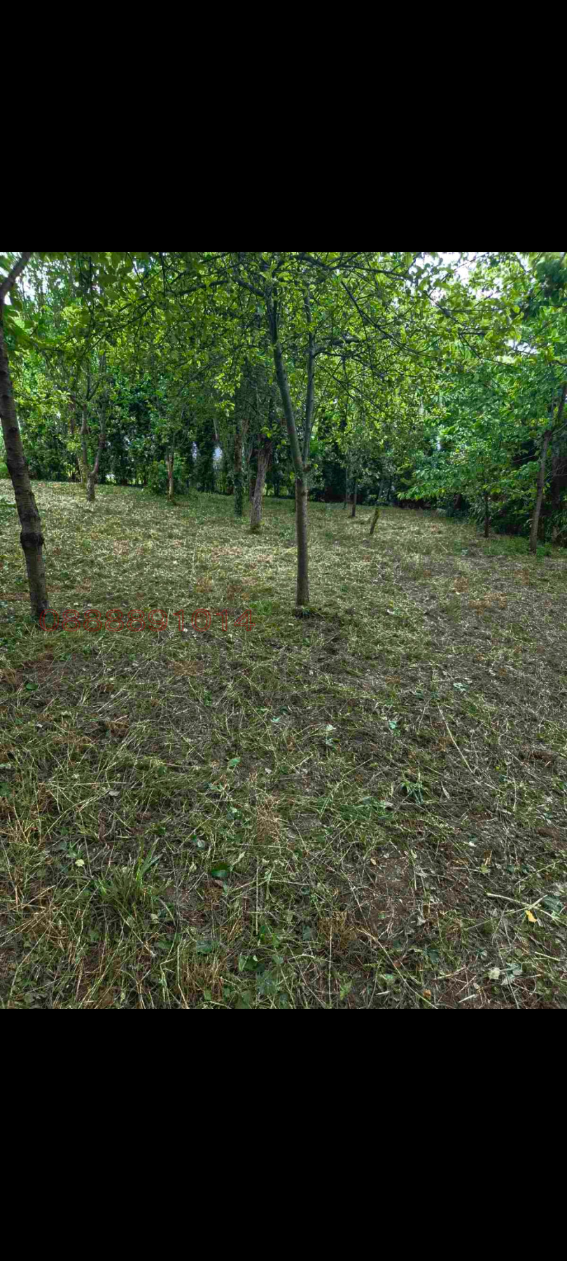 Продава ПАРЦЕЛ, с. Рибарица, област Ловеч, снимка 5 - Парцели - 55591855