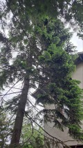 Продава КЪЩА, гр. София, в.з.Малинова долина, снимка 6