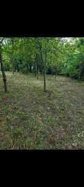 Продава ПАРЦЕЛ, област Ловеч, с. Рибарица • 20000 € • 48592279 5