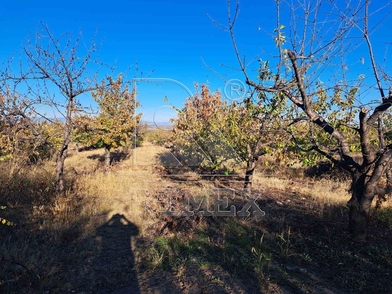 Продава ПАРЦЕЛ | Imot.bg — изображение 2