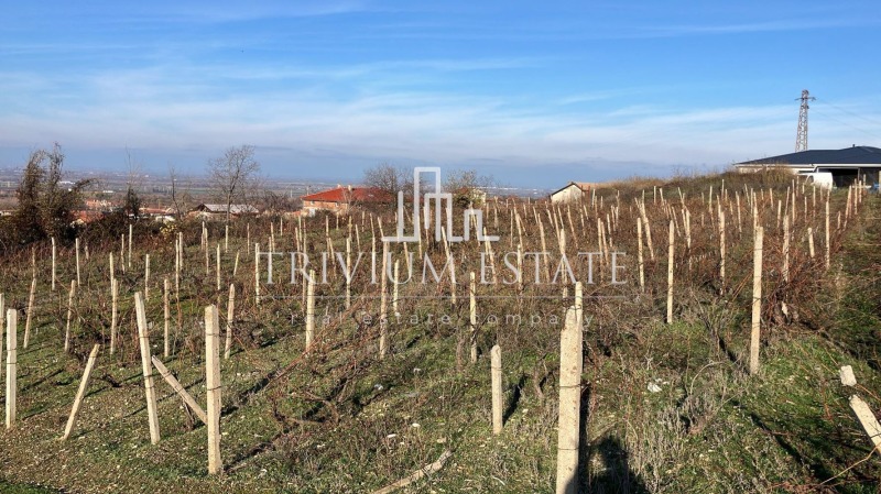 Продава ПАРЦЕЛ, с. Брестовица, област Пловдив, снимка 4 - Парцели - 53093395