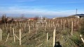 Продава ПАРЦЕЛ, с. Брестовица, област Пловдив, снимка 3