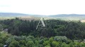 Продава ПАРЦЕЛ, с. Долна Диканя, област Перник, снимка 6