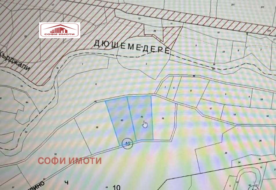 Продава ЗЕМЕДЕЛСКА ЗЕМЯ, с. Дъждино, област Кърджали, снимка 3 - Земеделска земя - 53824609