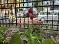 Продава КЪЩА, гр. София, Редута, снимка 16