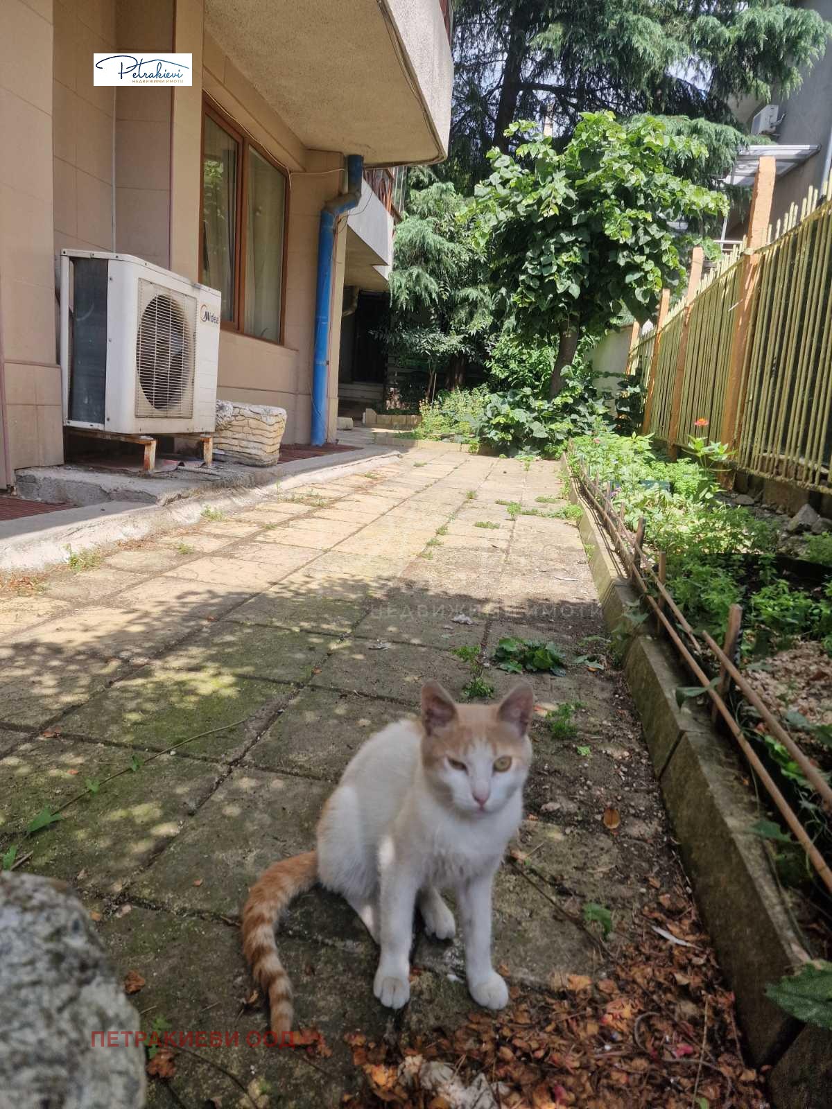 ������� 2-����� | Imot.bg � ����������� 10