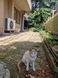 Продава  2-стаен град Бургас , Център , 36 кв.м | 56575383 - изображение [10]