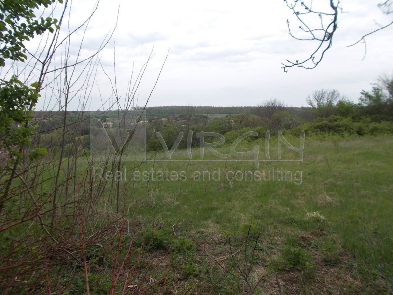 Продава  Парцел, област Варна, с. Радево • 27 200 EUR • ID 64394653 — holmes.bg - [1] 