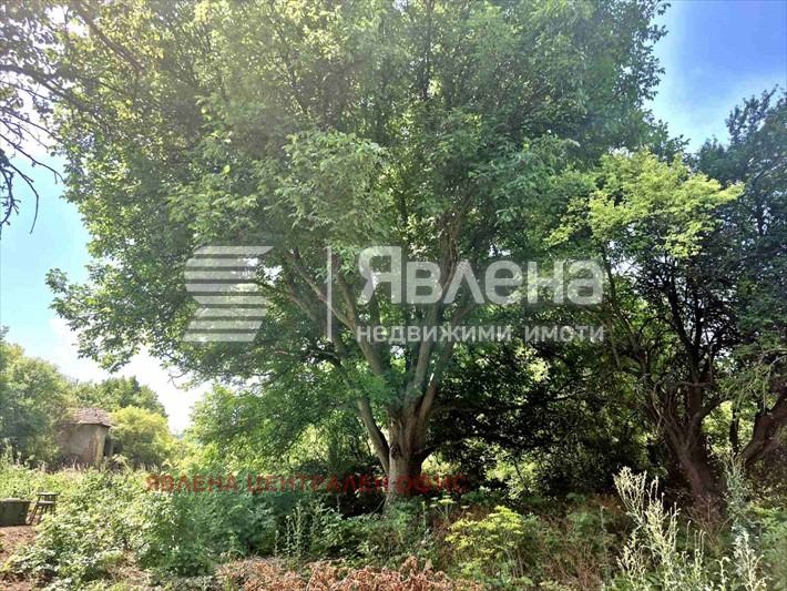 Продава ПАРЦЕЛ, с. Стефаново, област Перник, снимка 2 - Парцели - 56109455