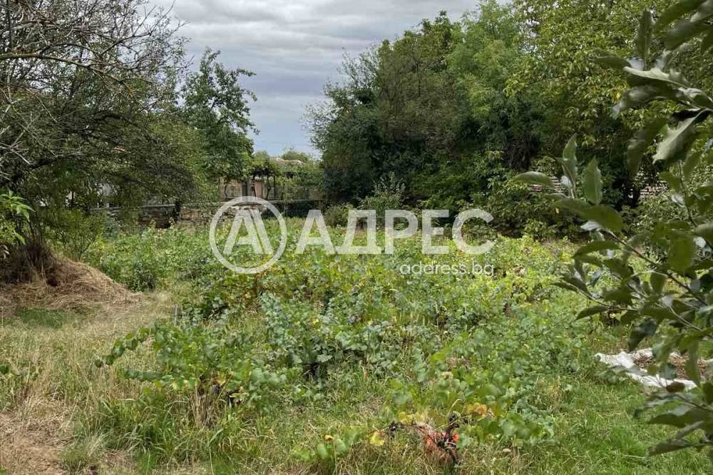 Продава КЪЩА, с. Черница, област Бургас, снимка 5 - Къщи - 56603461