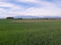 Продава ПАРЦЕЛ, гр. София, с. Подгумер, снимка 2