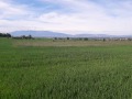 Продава ПАРЦЕЛ, гр. София, с. Подгумер, снимка 1