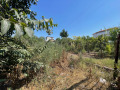 Продава ВИЛА, област Варна, гр. Игнатиево • 48900 € • 89910807 — Holmes.bg