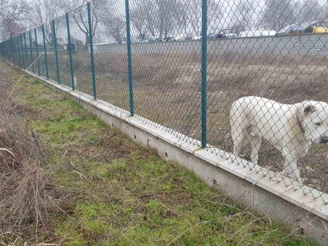 ������� ������ | Imot.bg � ����������� 1