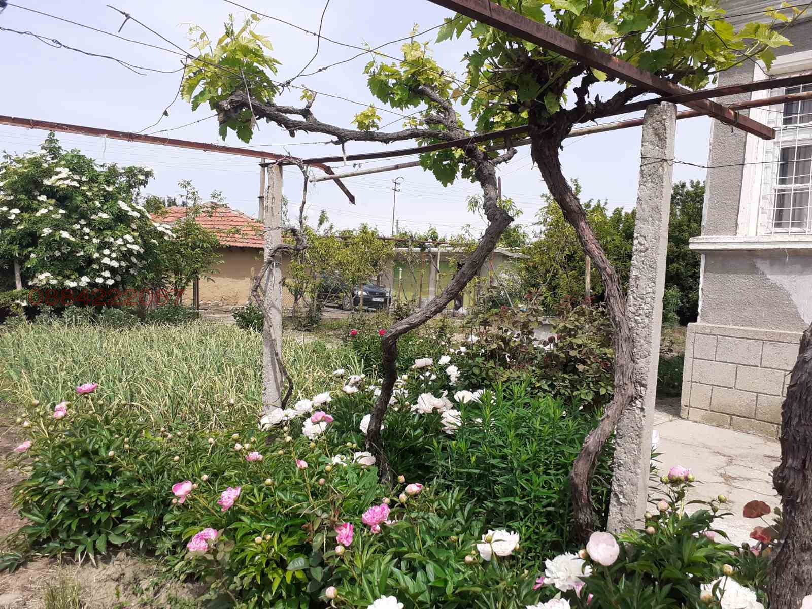 ������� ���� | Imot.bg � ����������� 1