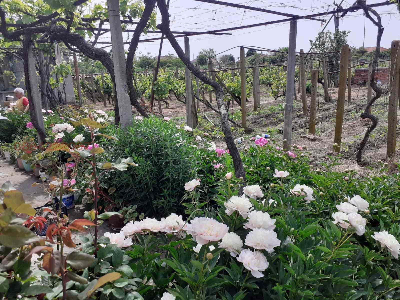 ������� ���� | Imot.bg � ����������� 2