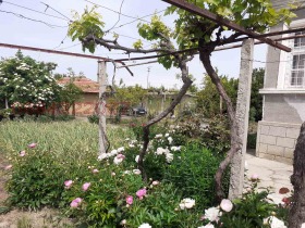 ����� ������� ����,�. �������, ������ �����