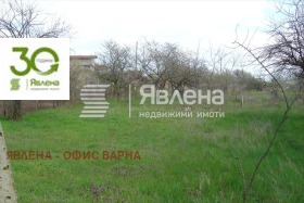 Trama Konstantinovo, Varna