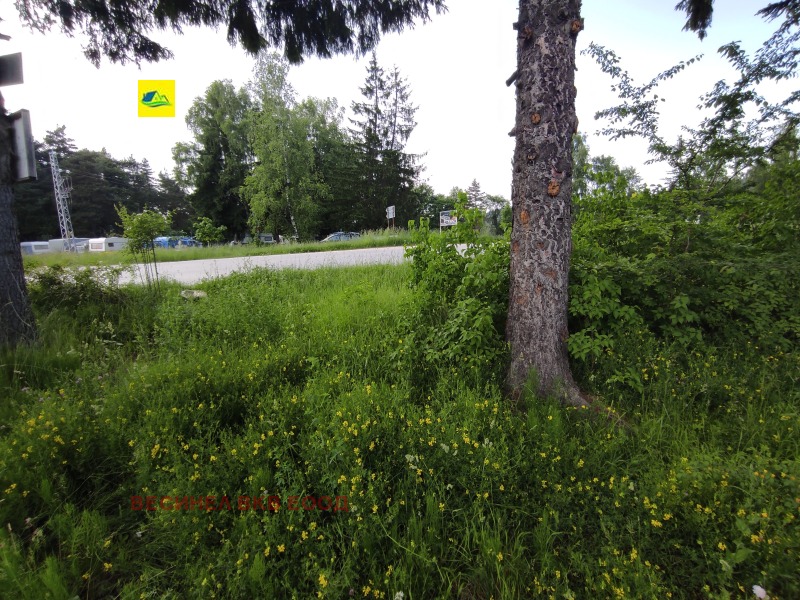 Продава ПАРЦЕЛ, гр. Батак, област Пазарджик, снимка 1 - Парцели - 38837314