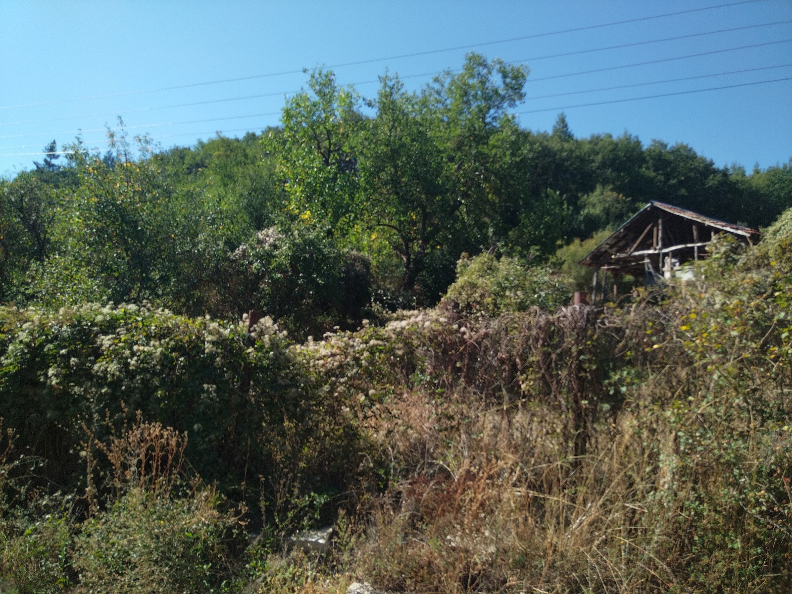 Продава КЪЩА, с. Пещера, област Перник, снимка 16 - Къщи - 56097015