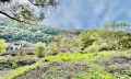 Продава ПАРЦЕЛ, град Велико Търново, Стара част • 90000 € • 17930735 — Holmes.bg