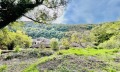 Продава ПАРЦЕЛ, град Велико Търново, Стара част • 90000 € • 17930735 — Holmes.bg