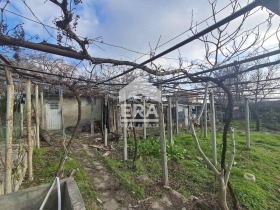 ������� ���� | Imot.bg � ����� ������ 9
