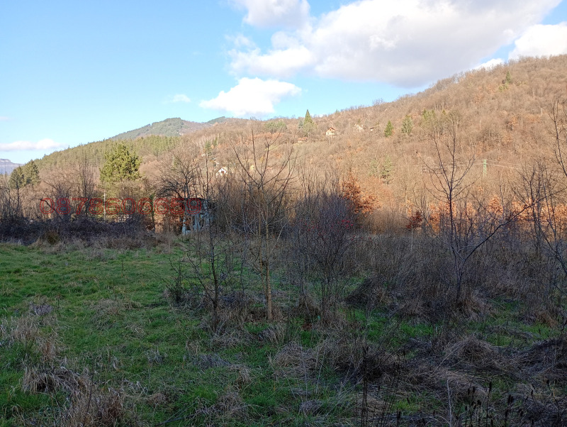 Продава ПАРЦЕЛ, с. Желен, област София област, снимка 5 - Парцели - 53148884