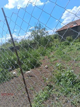 ������� ���� | Imot.bg � ����� ������ 10