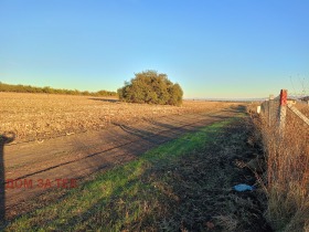 Plot Golyanovtsi, region Sofia 1