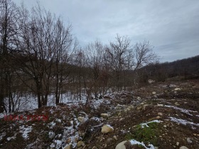 ������� ������ | Imot.bg � ����� ������ 10