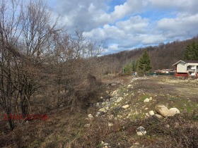 ����� ������� ������,��. �������, ������ �����>