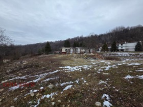 ������� ������ | Imot.bg � ����� ������ 8