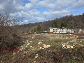 ����� ������� ������,��. �������, ������ �����