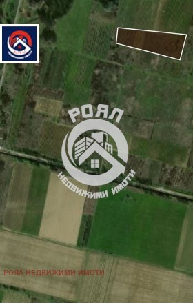 ����� ������� ������,���� �������, �������