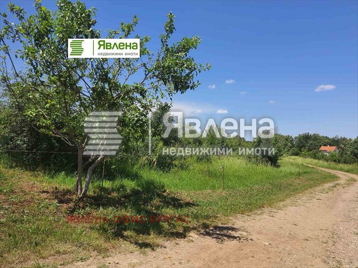 Продава ПАРЦЕЛ, с. Писменово, област Бургас, снимка 4 - Парцели - 46487846