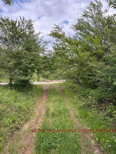 Till salu  Landa region Lovech , Trojan , 2 dka | 87897349 - bild [3]