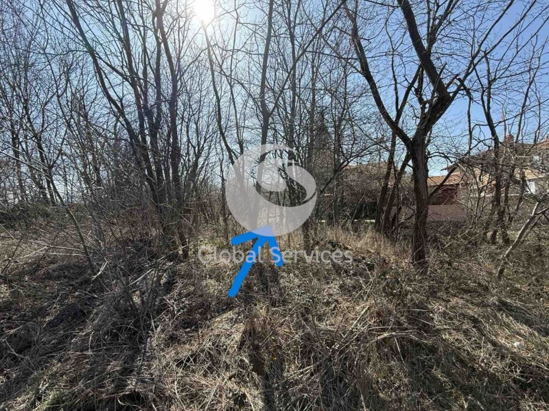 Продава ПАРЦЕЛ в град София, с. Мало Бучино - 680 кв.м / 60 000 € » 117 349.80 лв., ГЛОБЪЛ СЪРВИСИЗ ООД