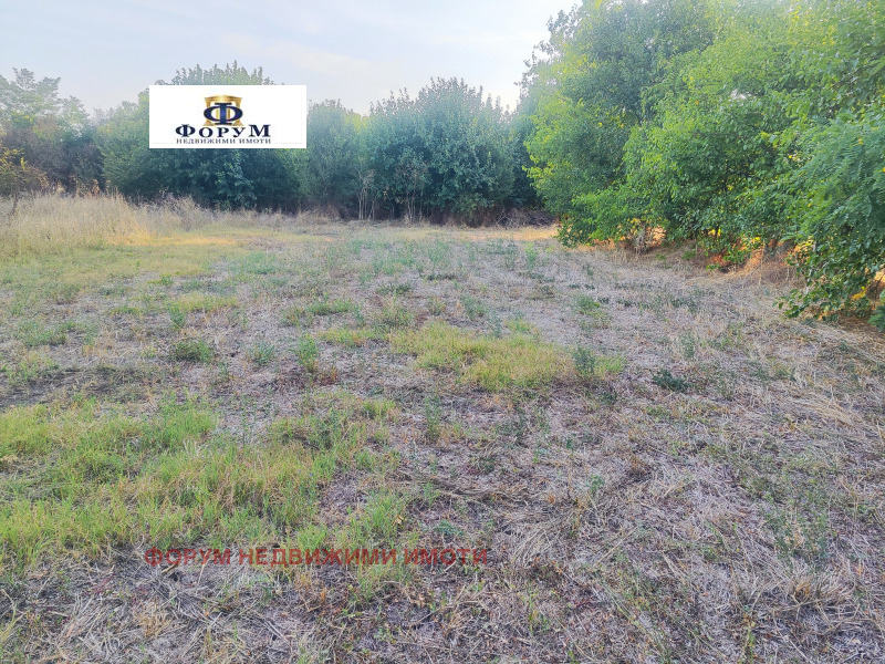 Продава  Къща област Пловдив , с. Бяла река , 760 кв.м | 71879319 - изображение [9]