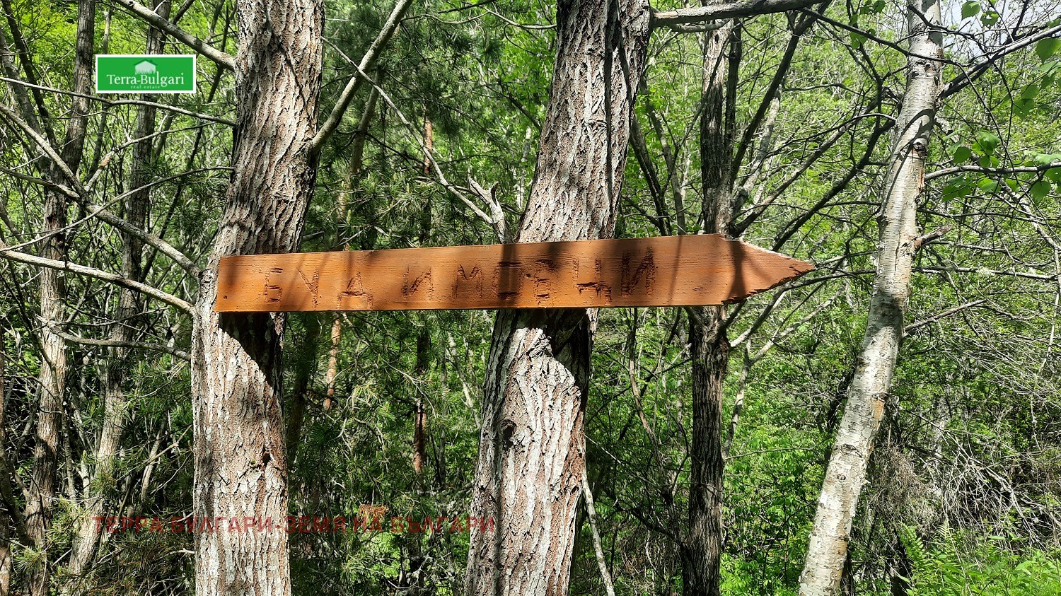 Продава КЪЩА | Imot.bg — изображение 10