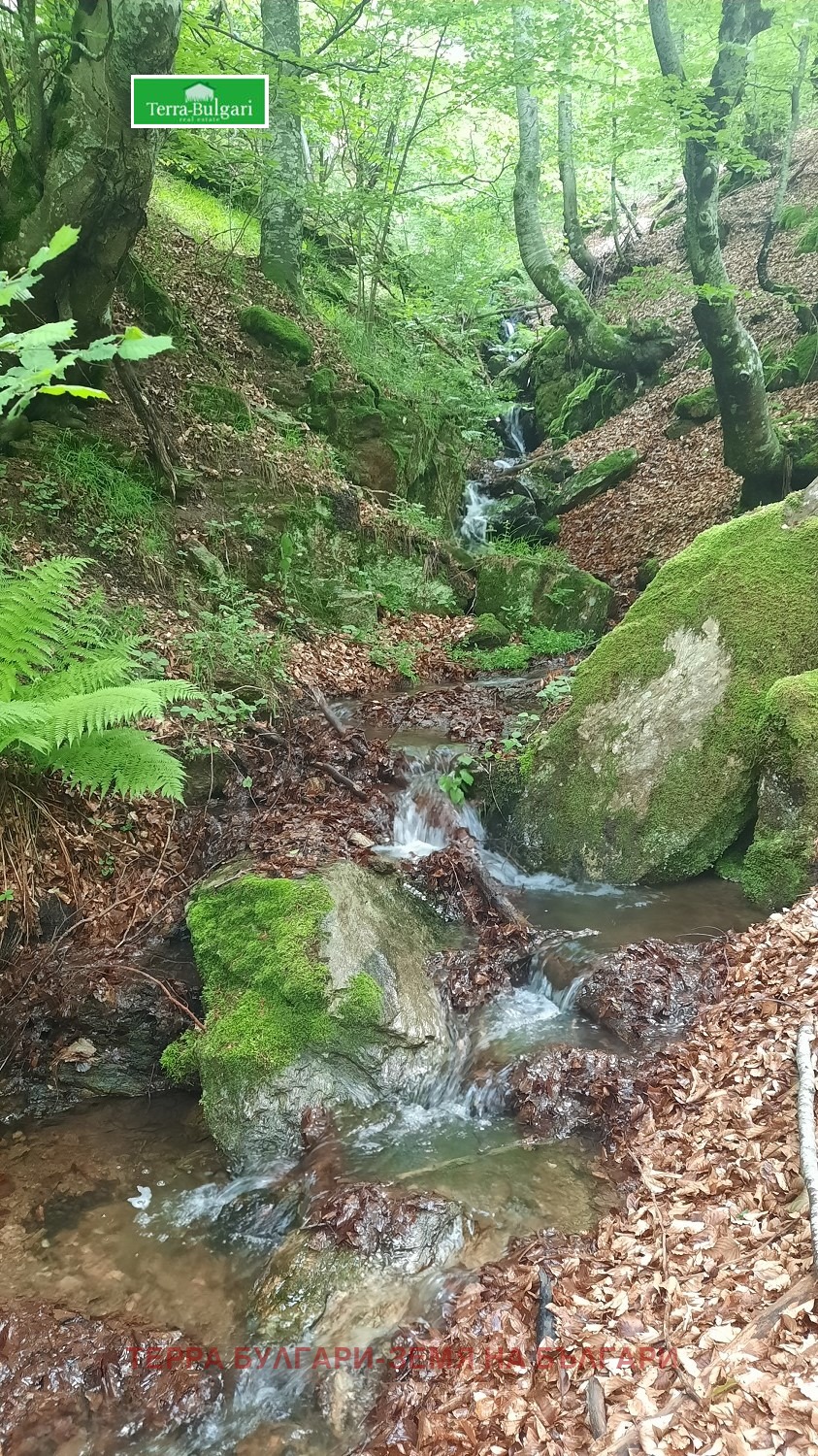 Продава КЪЩА | Imot.bg — изображение 11