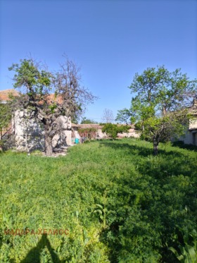 Ev Han Krum, bölge Şumnu 8